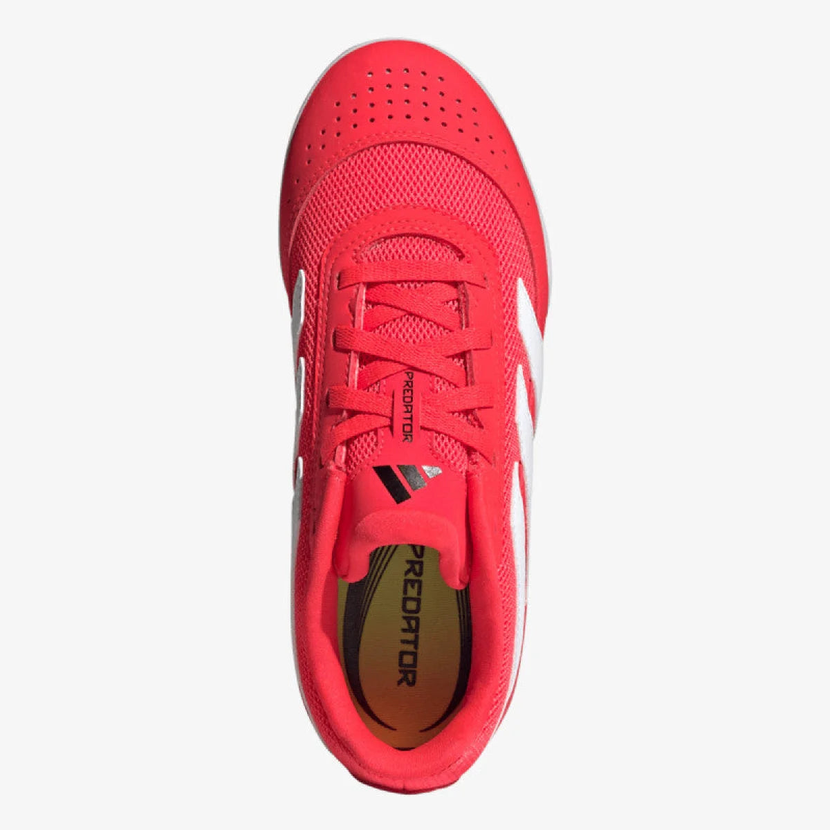 ADIDAS Patike PREDATOR CLUB IN SALA J - JR3126