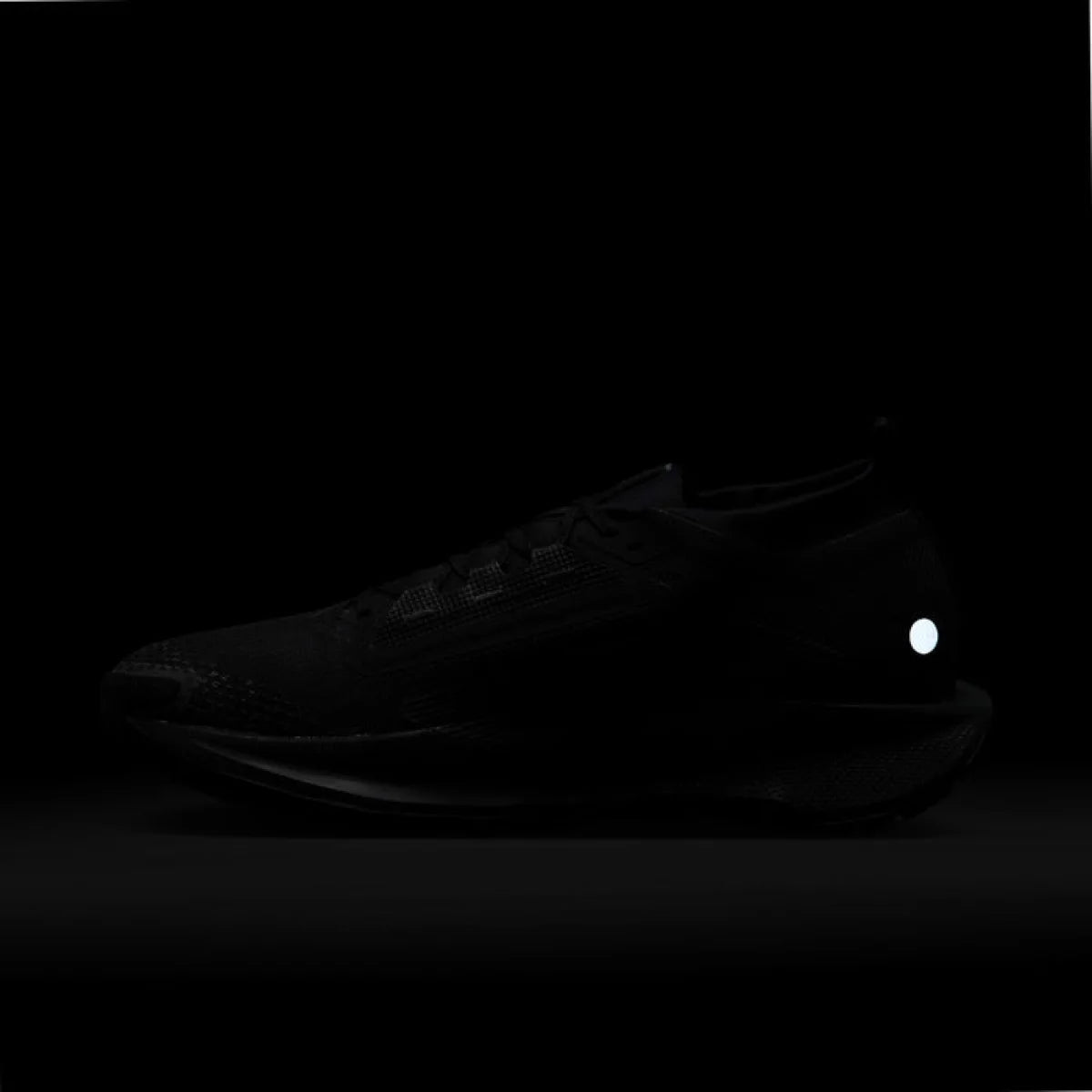 NIKE Patike REACTX PEGASUS TRAIL 5 GTX - FQ0908-002