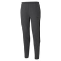 PUMA Hlače EVOSTRIPE CORE