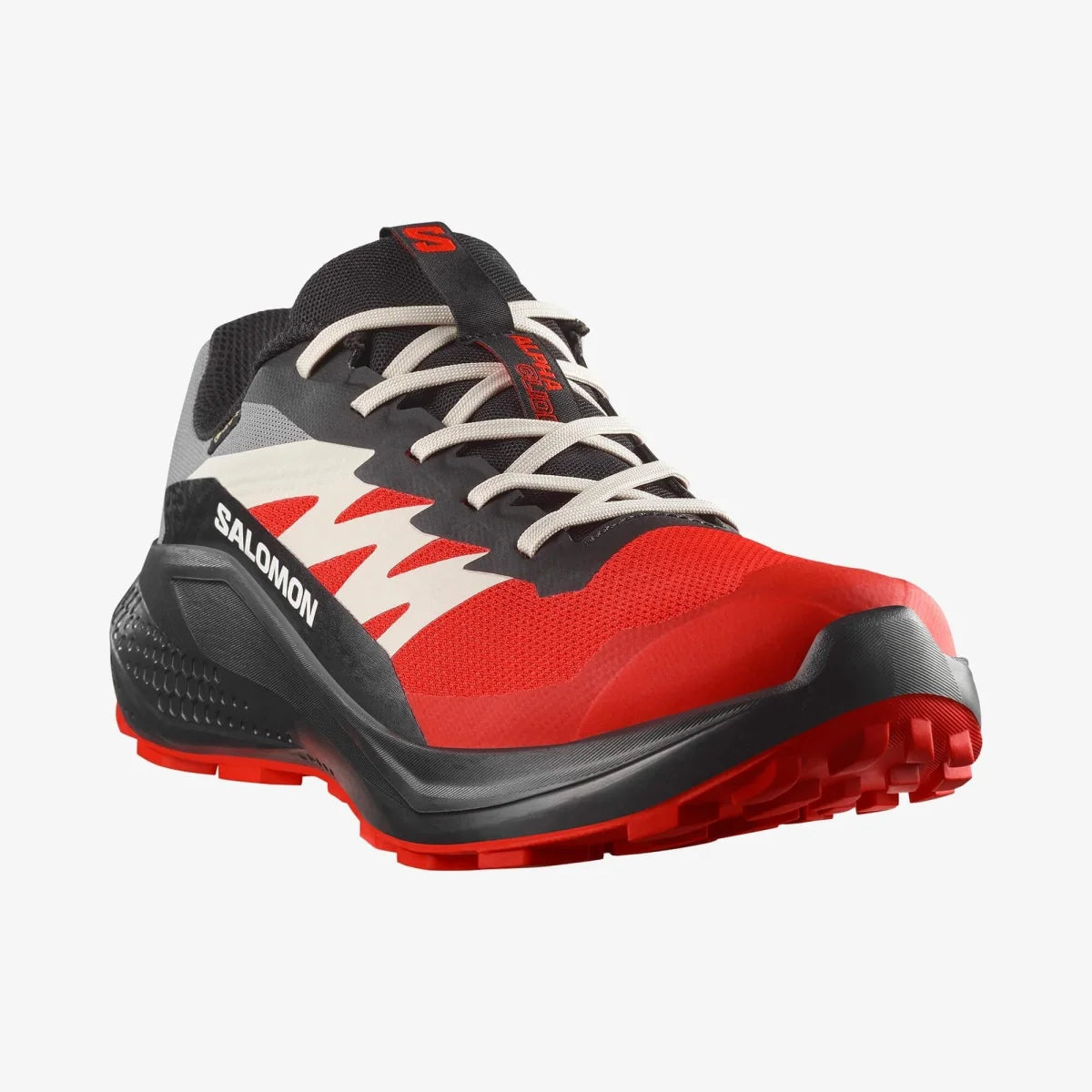 SALOMON Patike ALPHAGLIDE GTX - L47975200