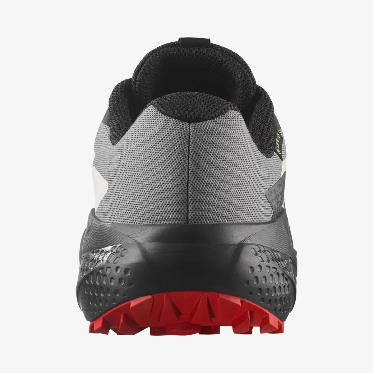 SALOMON Patike ALPHAGLIDE GTX - L47975200