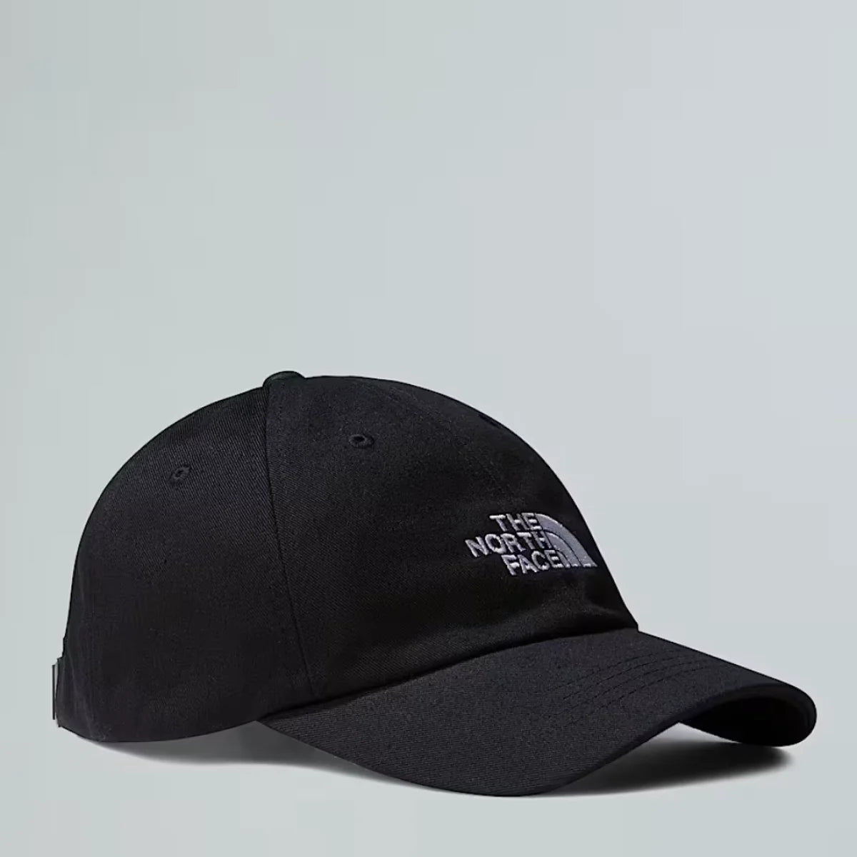 THE NORTH FACE Kačket NORM - NF0A7WHO-JK3